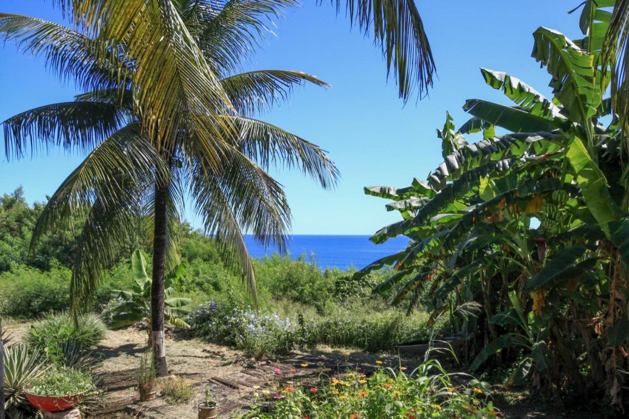 賓館 Canto Do Boldro Fernando de Noronha